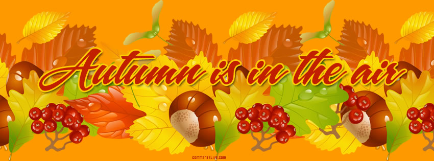 Autumn Is In The Air facebook cover