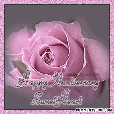 Pink Rose Anniversary picture