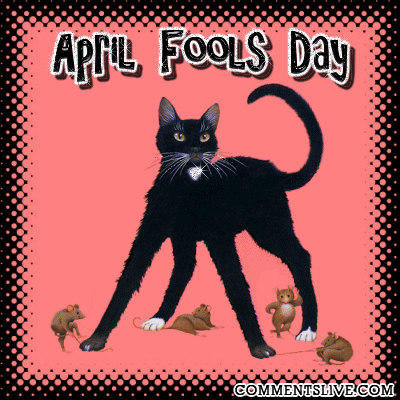 April Fools Cats Mice picture