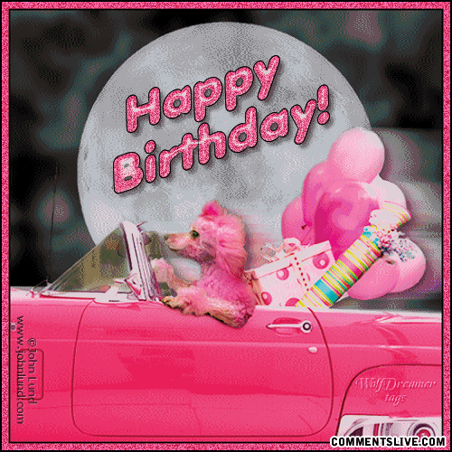 Bday Pink Poodle picture