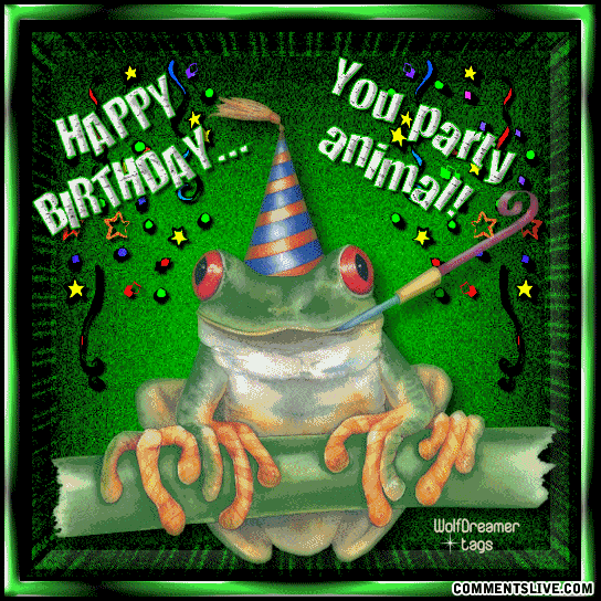 Party Animal Frog picture