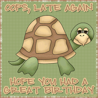 Turtle Late Bday picture