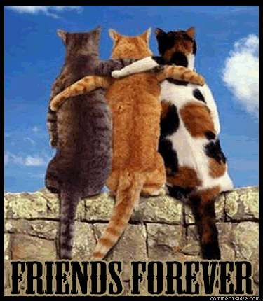 Friends Forever Picture