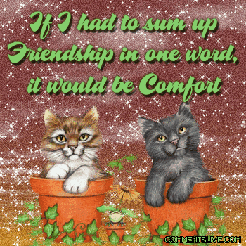 Friendship Comfort Picture