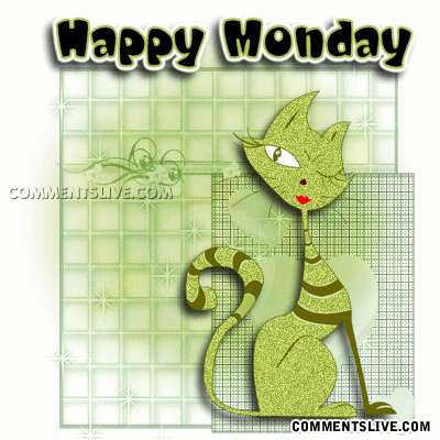 Monday Green Cat Picture