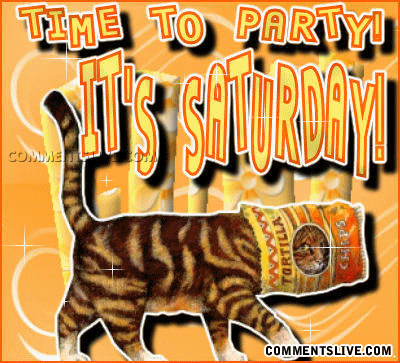 Saturday Chip Party Picture