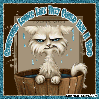 Someone Could Use A Hug Picture