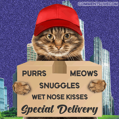 Special Delivery Picture