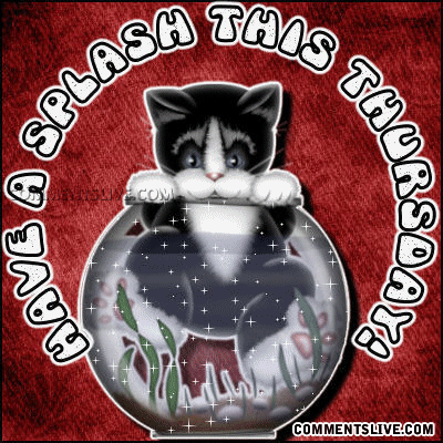 Splash Thursday Picture