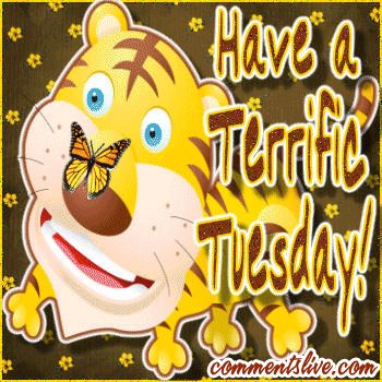 Tuesday Tiger Picture