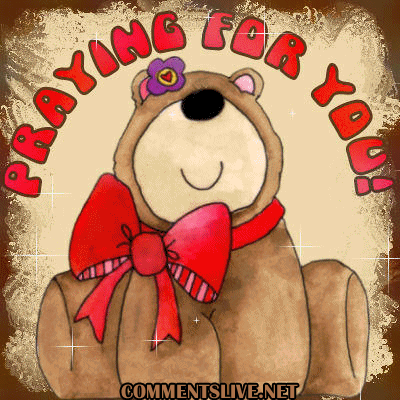 Cute Praying Bear Picture
