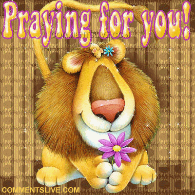 Praying Lion picture