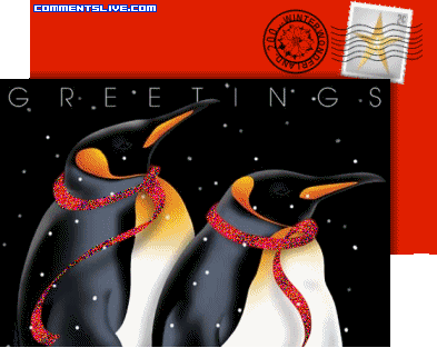 Penguin Greetings picture
