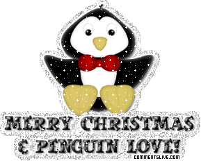 Penguin Love picture