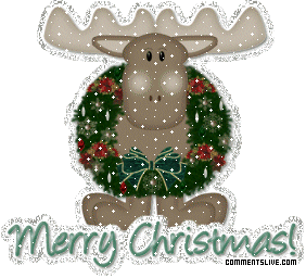 Reindeer Merry picture