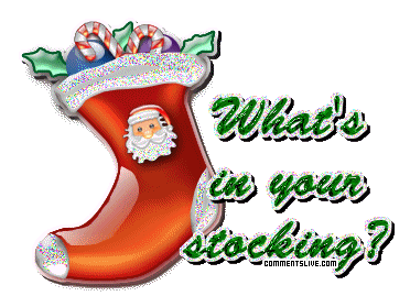 Whats In Your Stocking picture