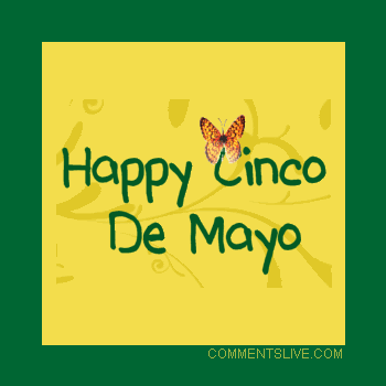 Cinco De Mayo Butterfly picture