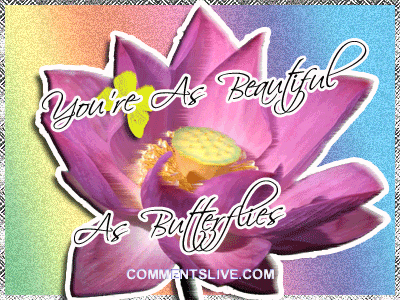 Beautiful As Butterflies picture