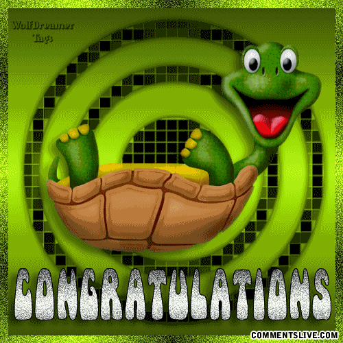 Congrats Turtle picture