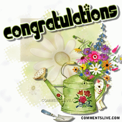 Congratulations Flower Pot picture