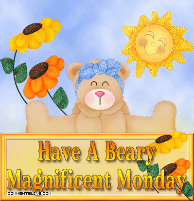 Magnificent Monday Beary