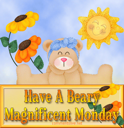 Magnificent Monday Beary Picture
