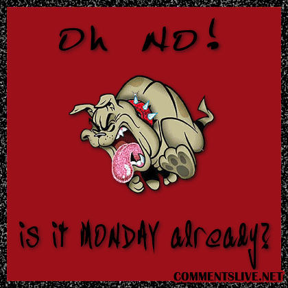 Monday Bulldog Picture