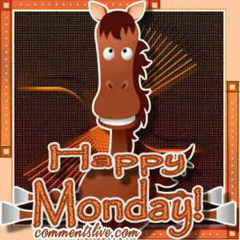 Monday Donkey picture