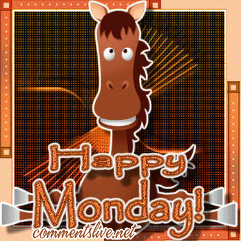 Monday Donkey Picture