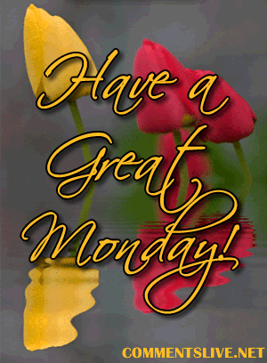 Monday Flower Picture