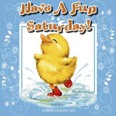 Saturday Duck Picture