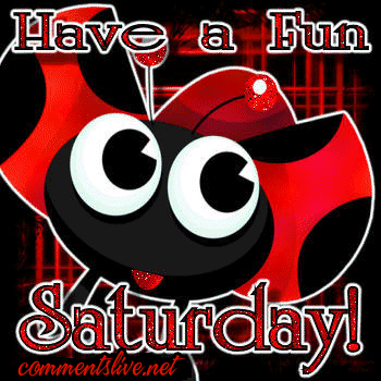 Saturday Ladybug Picture