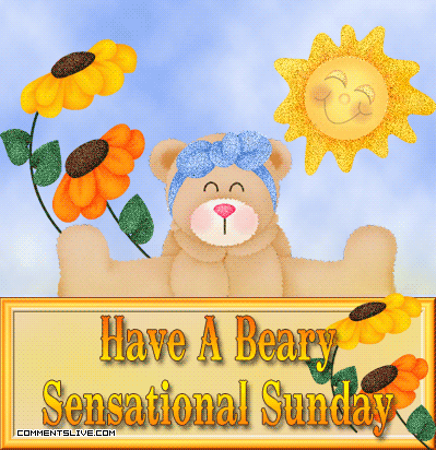 Sensational Sunday Beary