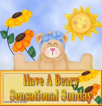 Sensational Sunday Beary Picture