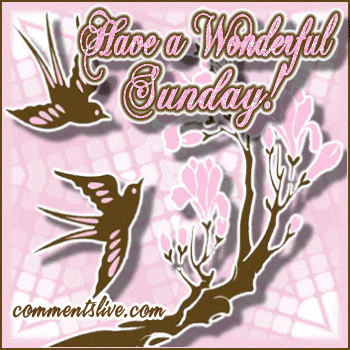 Sunday Birds Picture