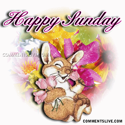 Sunday Bunny Picture