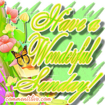 Sunday Butterfly Picture