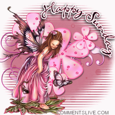 Sunday Fairy Pink picture