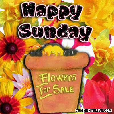 Sunday Flower Chick Picture