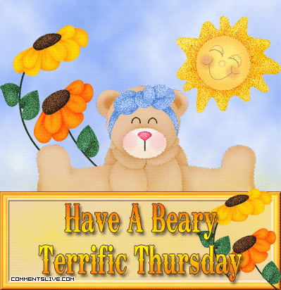 Terrific Thursday Beary
