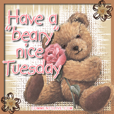 Have A Beary Nice Tuesday Picture