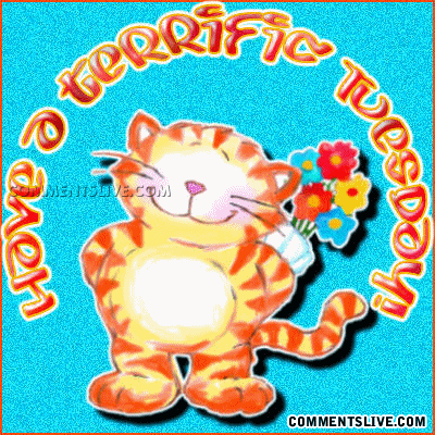 Terrific Tuesday Cat Picture