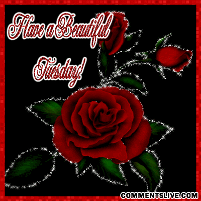 Tuesday Beautiful Picture