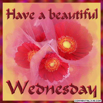 Flower Wednesday Picture