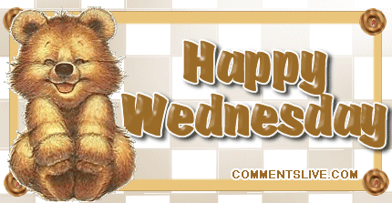 Happy Wednesday Bear