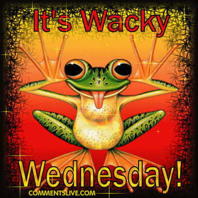 Wacky Wednesday picture