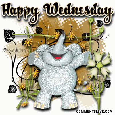Wednesday Elephant picture