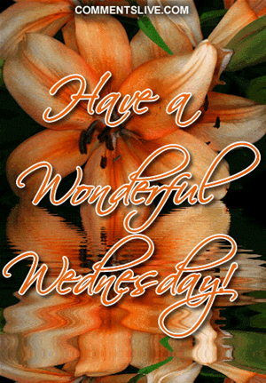 Wednesday Wonderful Picture