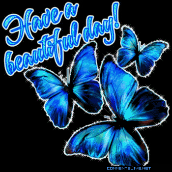 Day Butterfly Picture