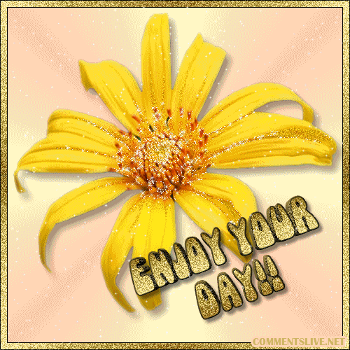 Enjoy Day Flower Picture